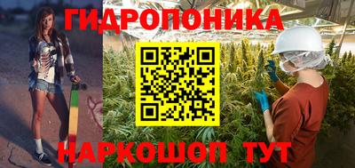каннабис Камышлов