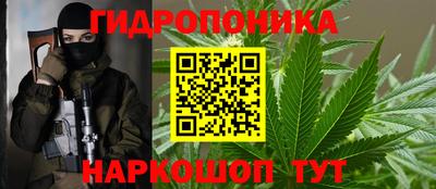 соль ск Кандалакша