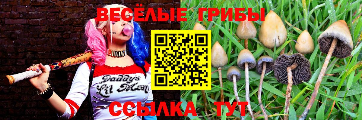 Галлюциногенные грибы Cubensis Кыштым